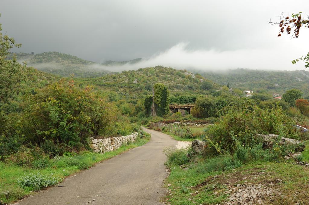 Holiday Home Skadar Lake Arbnes Номер фото